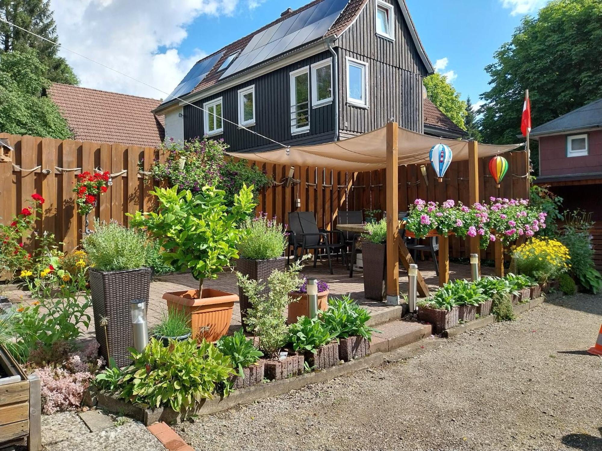 Gaestehaus Wetzel Braunlage Kültér fotó