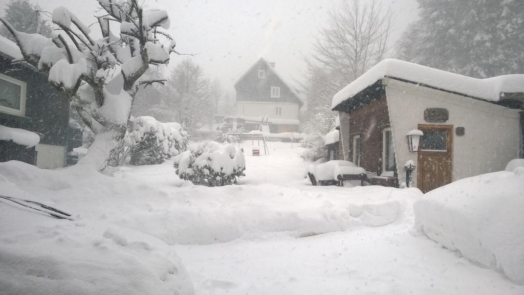 Gaestehaus Wetzel Braunlage Kültér fotó